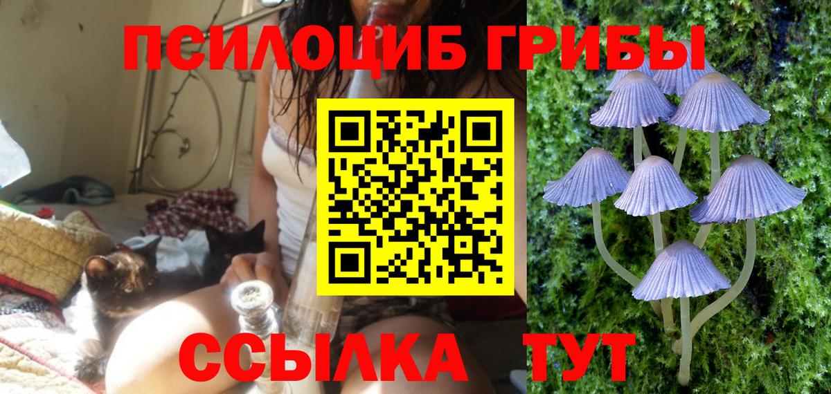 Новосибирск  Галлюциногенные грибы ЛСД  Вход с VPN 