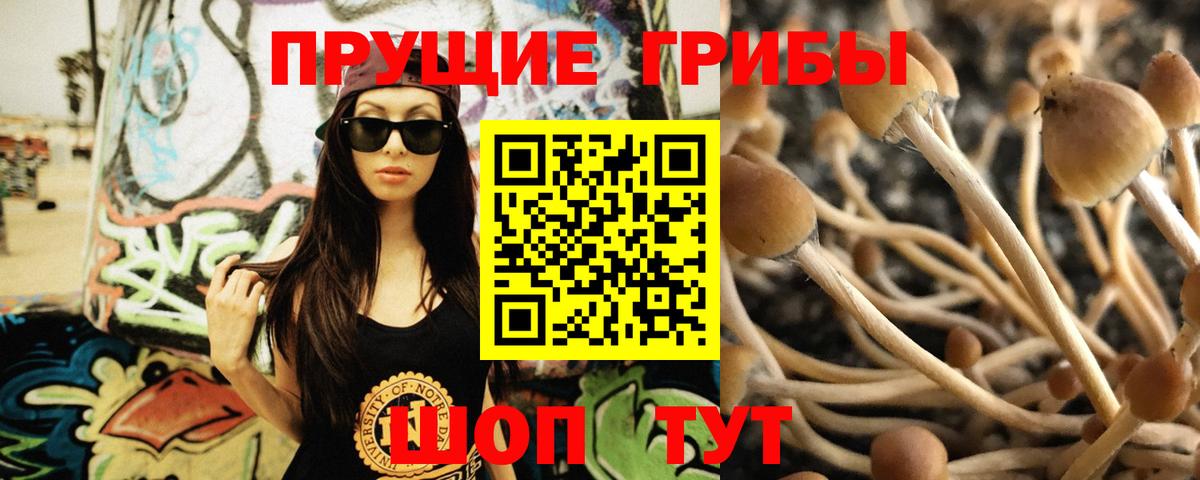 Галлюциногенные грибы мухоморы Новосибирск